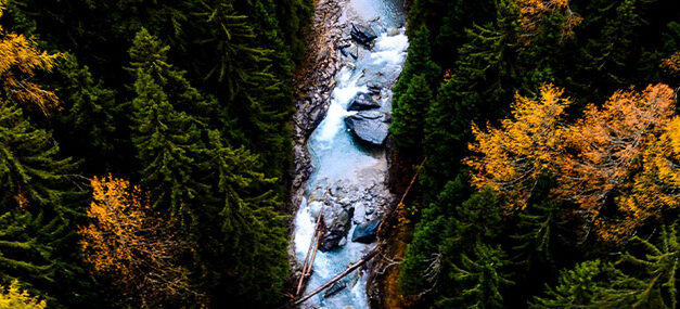 Una corriente poderosa