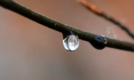 Los lugares más profundos