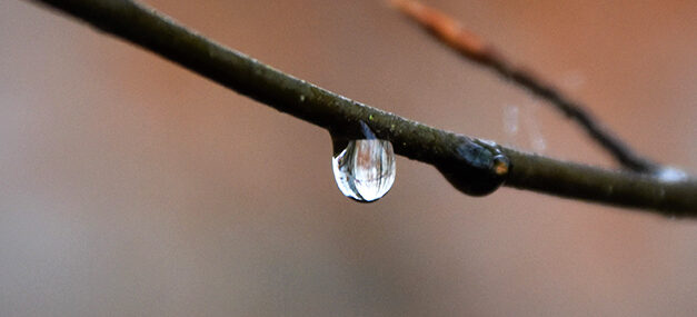 Los lugares más profundos