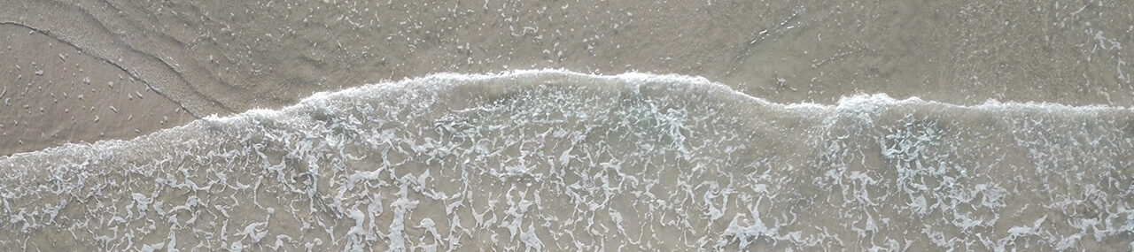 Confortado en la casa de Simón