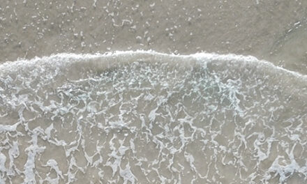 Confortado en la casa de Simón