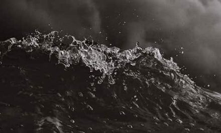 Un cambio de perspectiva