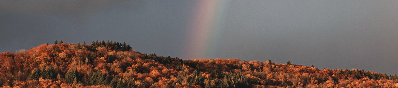 Arcoíris de esperanza