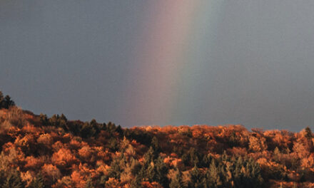Arcoíris de esperanza