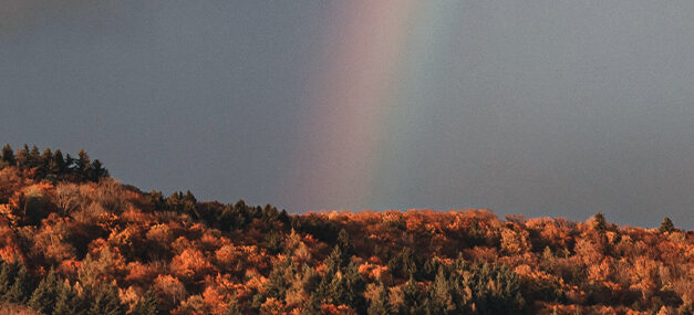 Arcoíris de esperanza